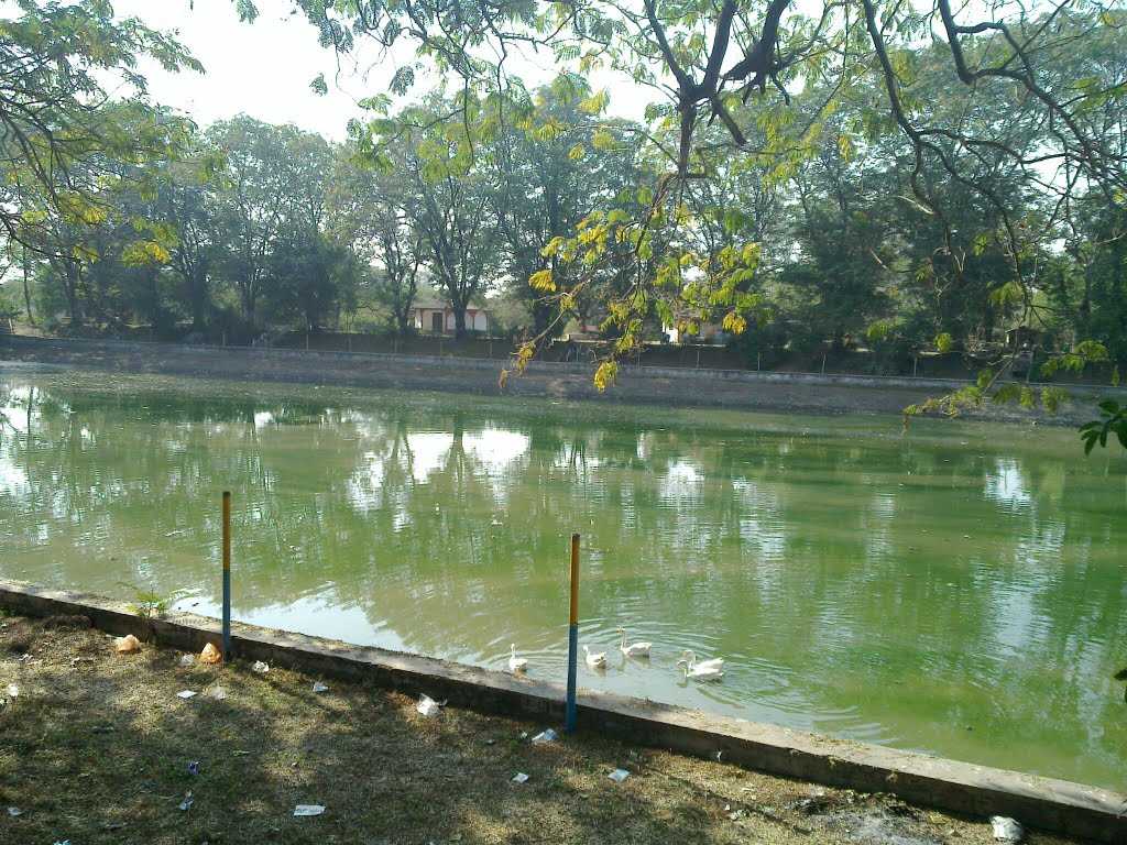 Vikram University Park