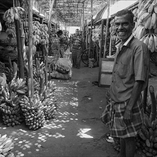 Banana Market