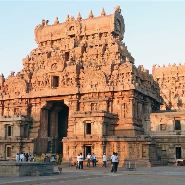 Thanjai Mamani Koli