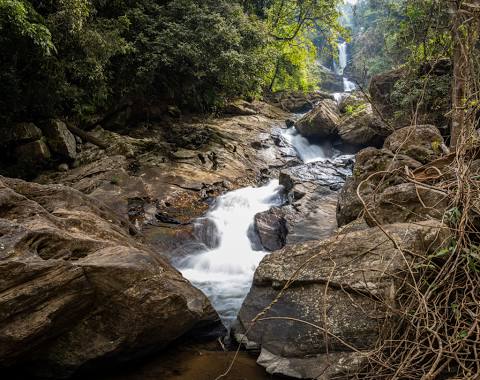 Iruppu Falls Brahmagiri