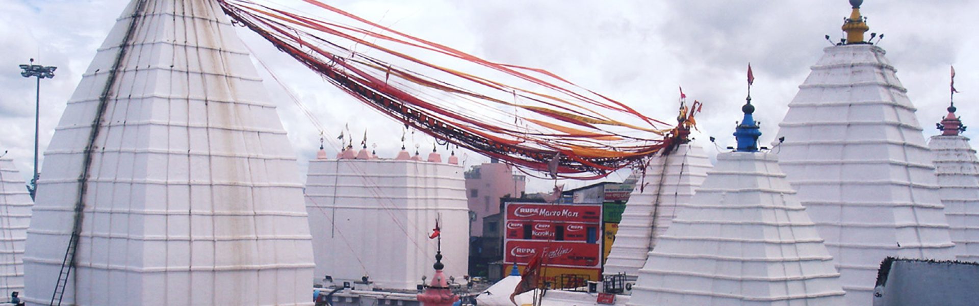 baidyanath-banner